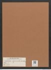 Navicula sejuncta A.Schm. (de-Toni-Nr.: Genus 1, Species 313) Zeichnungen Sammlung Grunow Mappe 00268 (Herbarium_W_Grunow_drawings_Folder_00268)